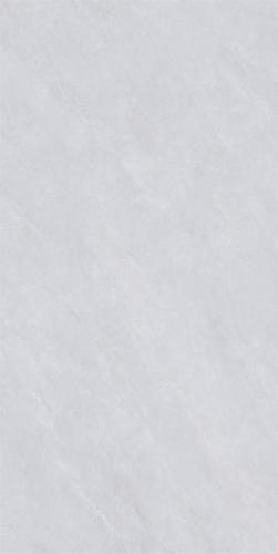 M62CB-P005-4