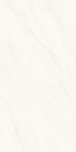 M62CB-P006-4