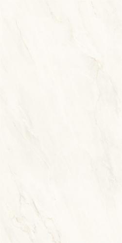 M62CB-P006-3