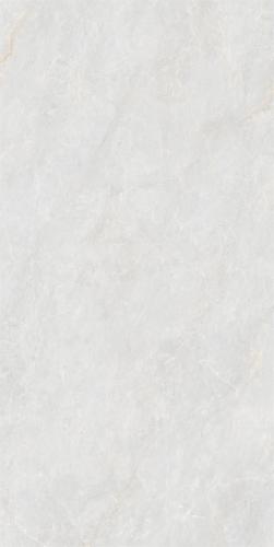 M62CB-P007-2