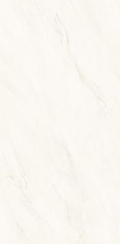 M75CB-P006-2
